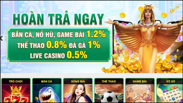 Trải nghiệm trên PC: Toàn diện và chuyên nghiệp