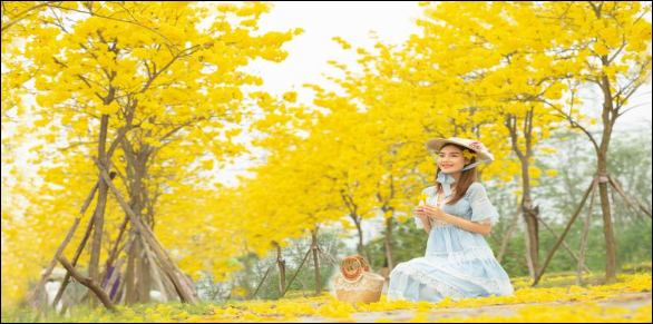 Phong cách đa dạng của ảnh chụp bằng điện thoại