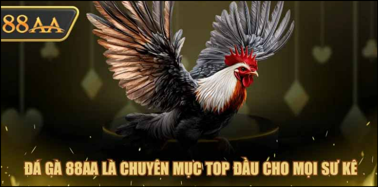 Đá gà 88aa – Sân chơi cá cược uy tín và hấp dẫn bậc nhất