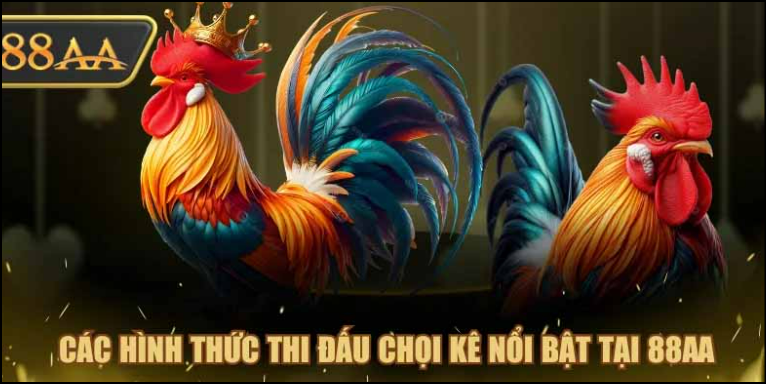 Trải nghiệm kịch tính – Kèo cược minh bạch, thắng nhanh mỗi ngày