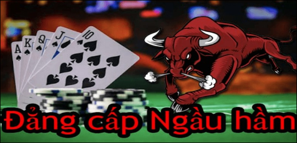 Các loại tay bài đặc biệt