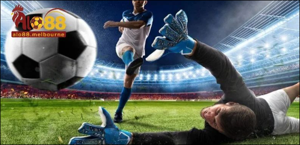 Những môn thể thao được đông đảo hội viên yêu thích