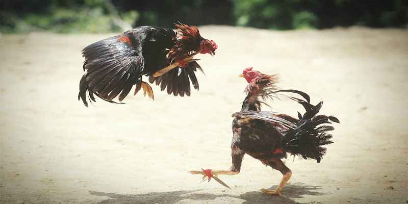 Trải nghiệm mượt mà 123bet dành cho bạn