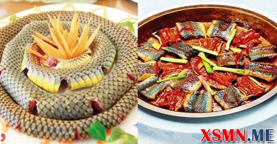 Chiêm bao thấy ăn thịt rắn điềm báo hung hay cát