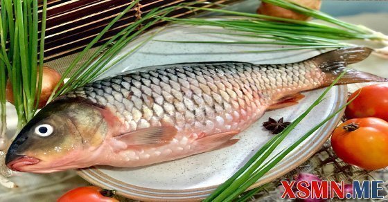 Ý nghĩa giấc mơ thấy con cá chép