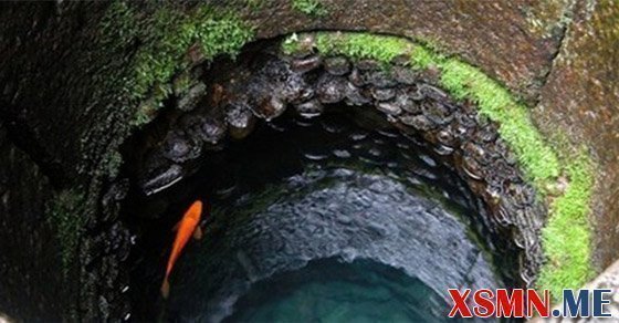 Bí ẩn giấc mơ thấy cái giếng