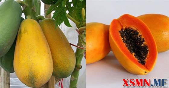 Ý nghĩa giấc mơ thấy quả đu đủ