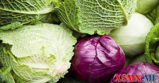 Mơ thấy bắp cải báo mộng điềm gì? Mơ thấy bắp cải báo mộng điềm gì?