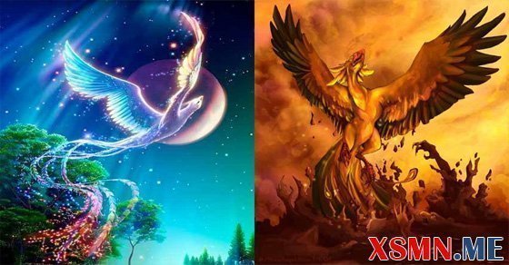 Chiêm bao mơ thấy chim phượng hoàng là điềm báo gì