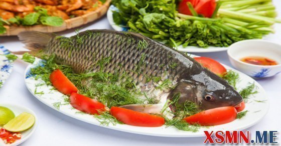 Nằm mơ cá chép đánh số bao nhiêu