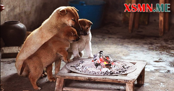 Giải mộng chiêm bao thấy bếp lửa