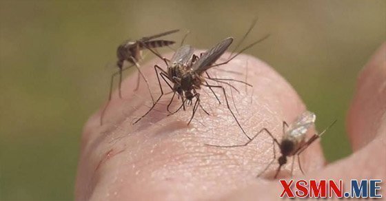 Chiêm bao bị muối đốt có ý nghĩa gì