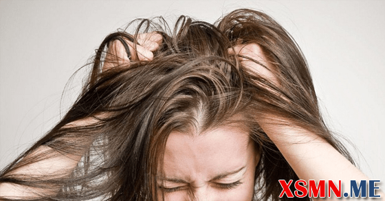 Số đề đẹp liên quan đến mơ thấy chấy, rận