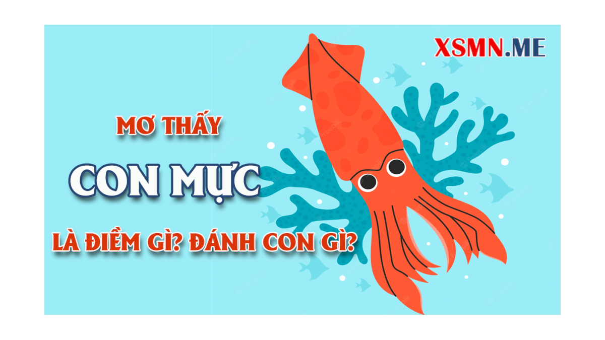 Nằm mơ thấy mực khô đánh con gì? - Ý nghĩa giấc mơ thấy con mực