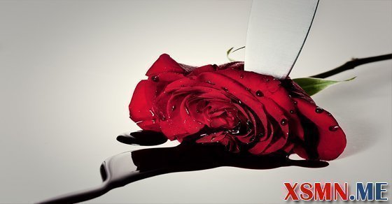 Nằm mơ thấy máu đánh con gì