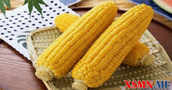 Giải mộng thấy bắp ngô là điềm báo gì