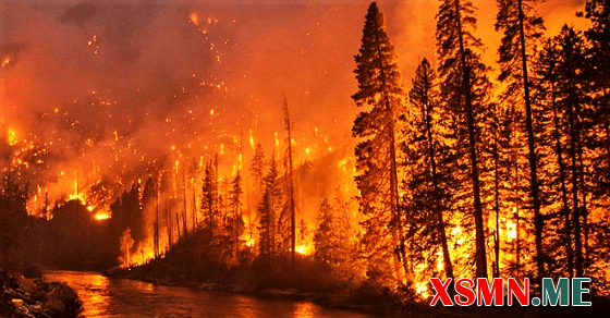 Nằm mơ thấy lửa cháy đánh đề con gì?