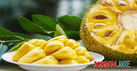 Mơ thấy mít đánh con gì dễ trúng? Mơ thấy mít đánh con gì dễ trúng?