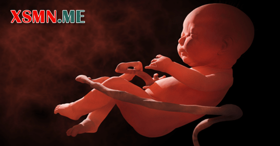 Giải mã giấc mơ thấy sảy thai báo điềm lành dữ