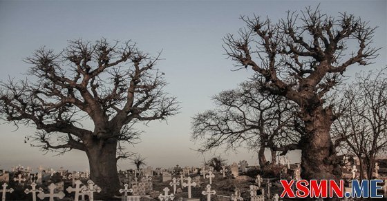 Mơ thấy nghĩa trang đánh số bao nhiêu