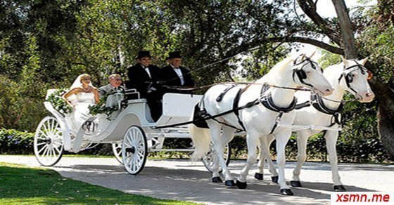 Mơ thấy xe ngựa