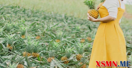 Nằm mơ thấy trái dứa đánh con số bao nhiêu