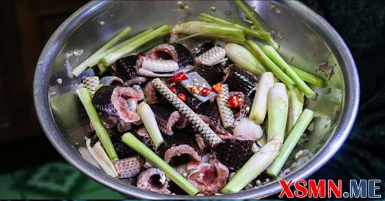 Nằm mơ ăn thịt rắn đánh con số bao nhiêu
