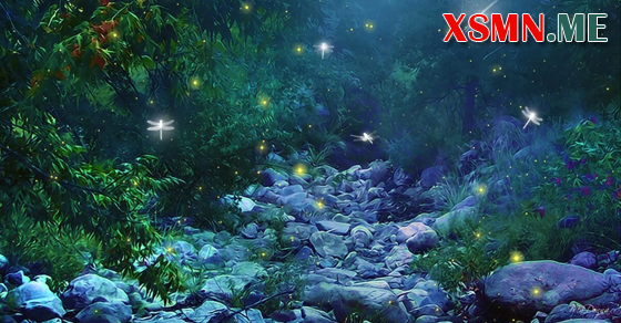 Mơ thấy nhiều đom đóm bay